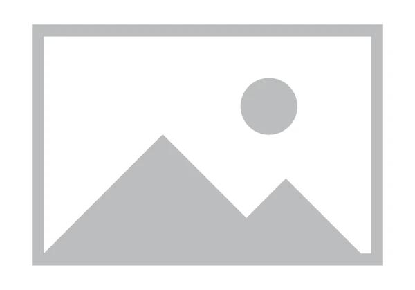 Dipimpin Prof. Noor Achmad, Tim Kemanusiaan BAZNAS Tiba di Kairo